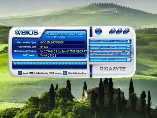 1494582431903409.jpg 5.jpg