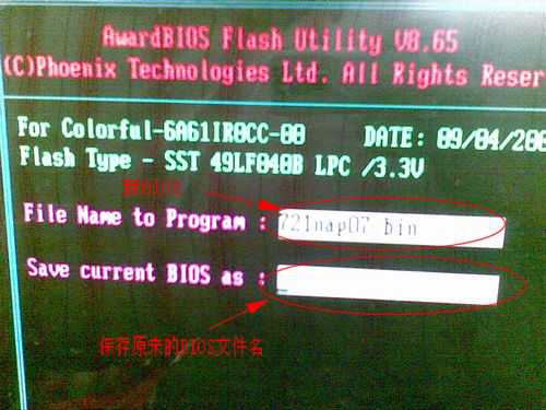 1483772390804134.jpg 7.jpg