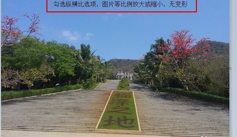 改变图片大小 改变图片大小